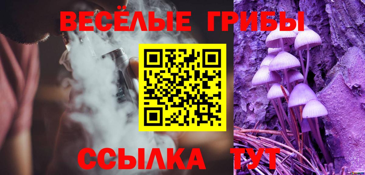 ГАШИШ Коломна