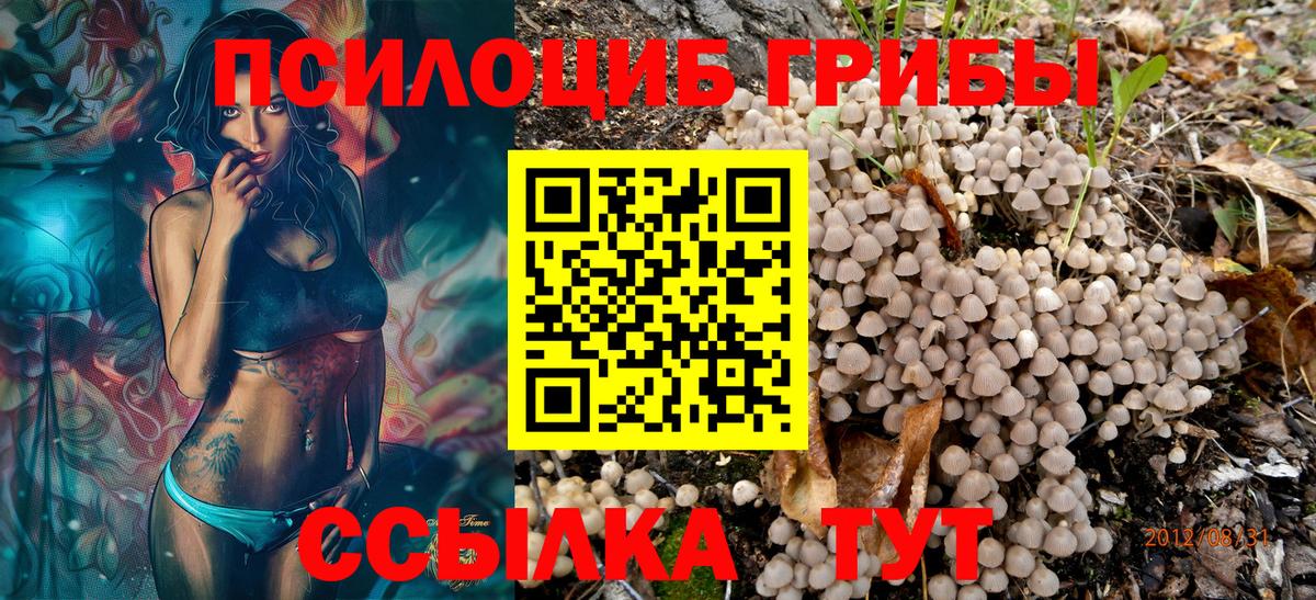 Коломна  Псилоцибиновые грибы мухоморы  Вход с VPN 