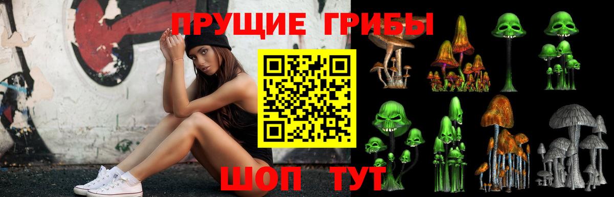 Псилоцибиновые грибы Psilocybe Коломна